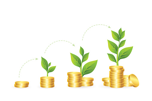 Money growth concept. Vector illustration of coins stacks with green trees in progress