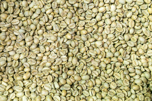 organic washed process green coffee beans waiting for roasting in the coffee house by roster. background and texture.