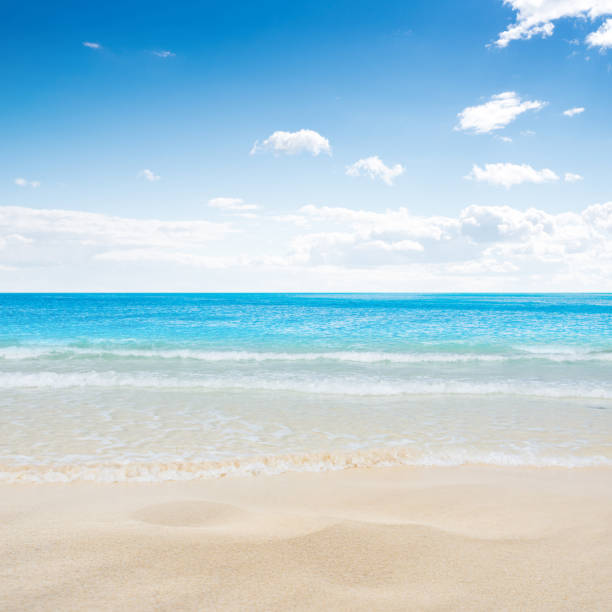 istock Tropical island summer beach 852208814