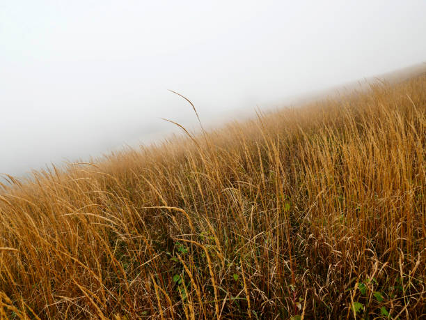 istock Bieszczady trails on the woods in autumn mist 852209266