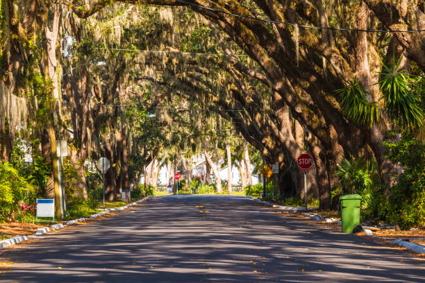 istock View of Magnolia Ave in Saint Augustine, USA 852220938