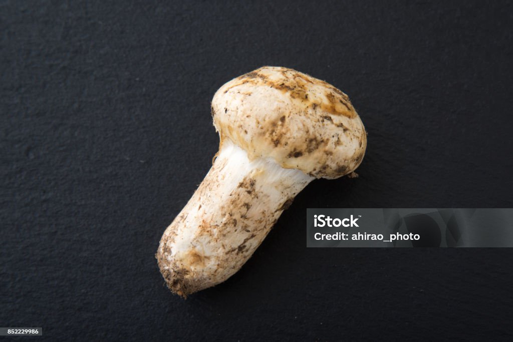 isolated matsutake mushroom Autumn Stock Photo