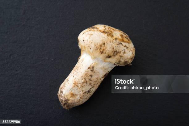 Isolated Matsutake Mushroom Stock Photo - Download Image Now - Autumn, Backgrounds, Brown