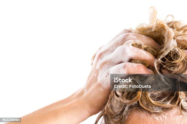 Womans Hand With Shampoo Washing Hair Isolated On The White Background Cares About A Healthy And Clean Hair Beauty Salon Empty Place For A Text Stock Photo - Download Image Now