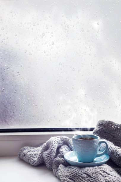 istock cozy soft gray blanket with a cup of coffee 852236918