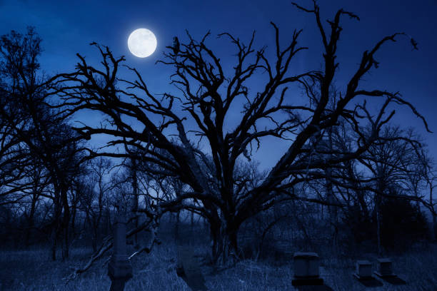 istock Spooky Halloween Cemetery With Owl and Full Moon 852240116