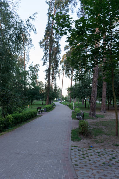 istock Long park alley. A path in the forest, park. 852252508