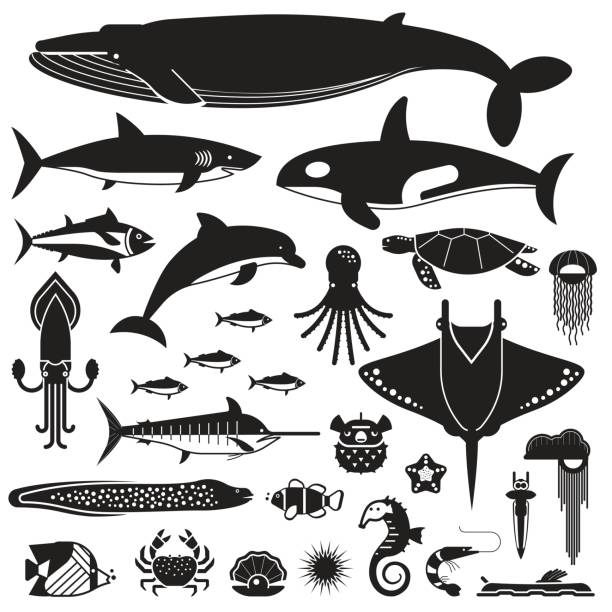 illustrazioni stock, clip art, cartoni animati e icone di tendenza di icone della vita marina e degli animali sottomarini - tuna fish silhouette saltwater fish