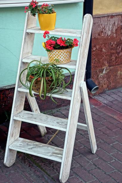 istock small white wooden staircase with flower pots 852263874