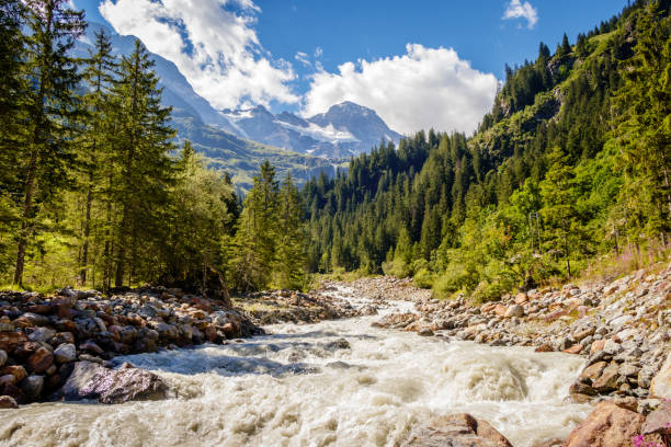 istock Wild water river in the Lauterbrunnen valley 852268096