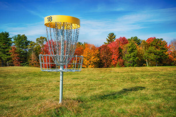 Disc golf hole basket in autumn park stock photo