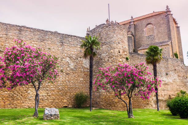 istock Gate and Walls of Almocabar in Ronda 852272048