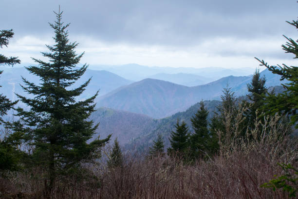 istock Blue Ridge mountains and parkway in winter 852282140