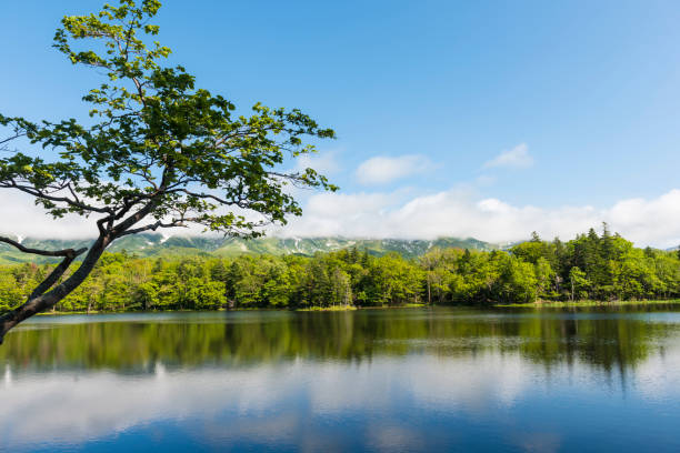 Shiretoko five lakes, Hokkaido, Japan