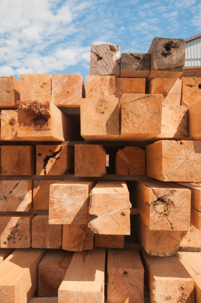 istock Wood blocks at lumbermill 852310994