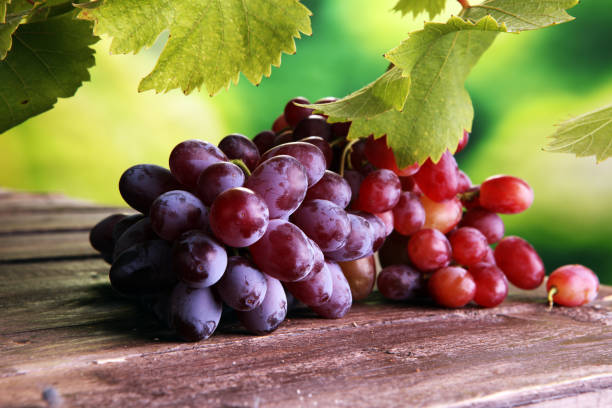 istock Grapes on wooden table and grape leaves . Healthy fresh wine grapes. 852340022