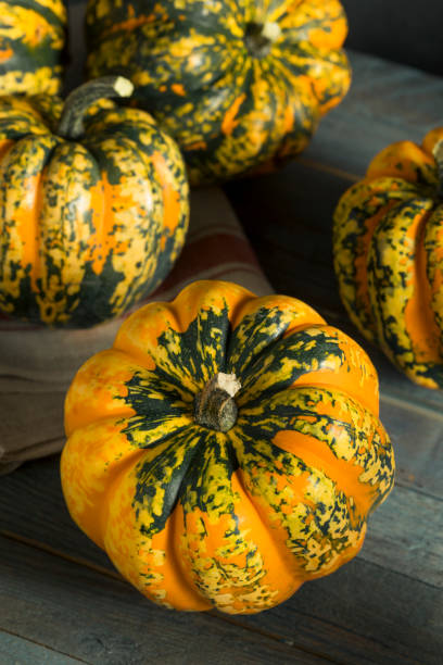istock Raw Orange Conffeti Acorn Squash 852360534