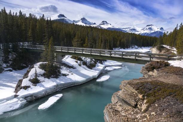 istock Saskatchewan River Footbridge Canadian Rocky Mountains 852373188