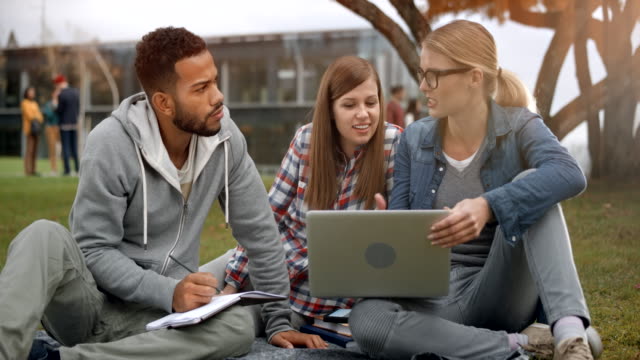 Multi ethnic male student studying in the park with his two female Caucasian classmates