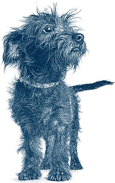 welpen, die darauf warten, angenommen werden. terrier dackel mischlingshund. - mixed breed dog illustrations stock-grafiken, -clipart, -cartoons und -symbole