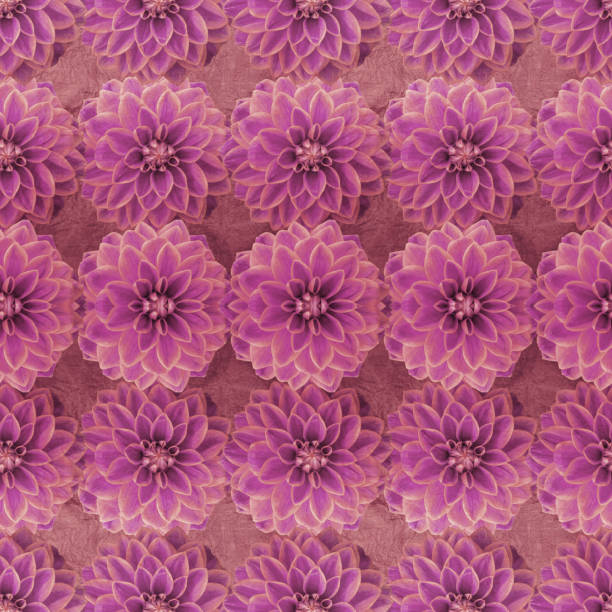 istock pink seamless pattern of dahlias 852407704