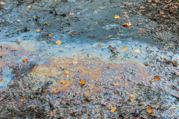 istock Colorful oil slick spreading on muddy swamp. 852408304