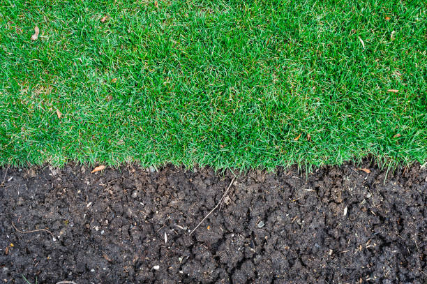 istock Edge of grass turf ending at fertile dirt. 852410840