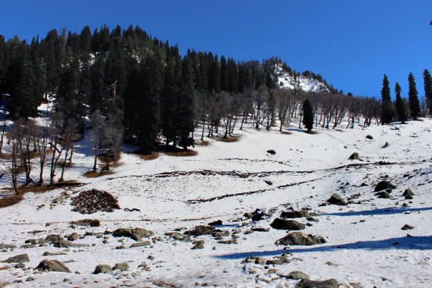 istock Winter snow mountain valley at Sonmarg in Kashmir, India. 852422380