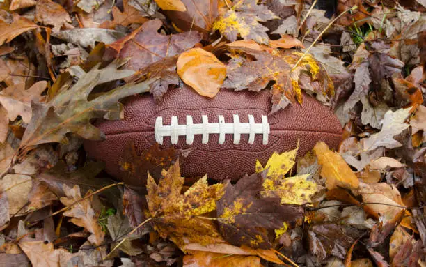 Football buried in fallen leaves