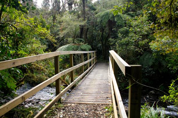 istock Tongariro National Park 852426770