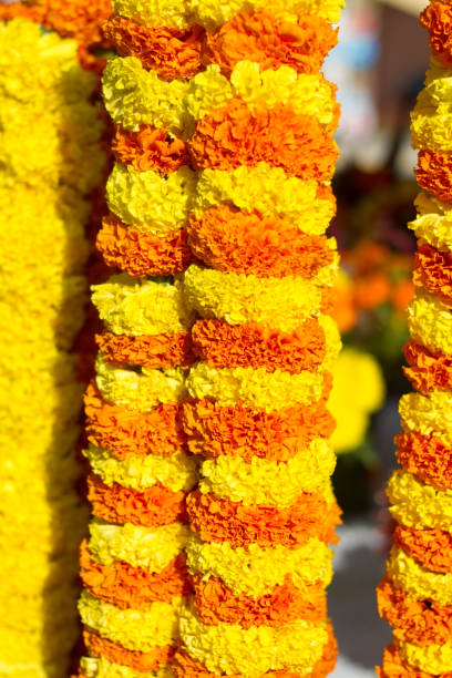 Marigold Chains Hanging at Market (Close-Up)
