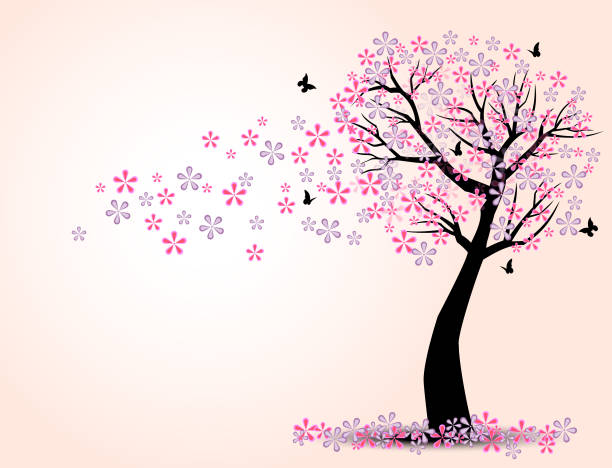 ilustrações de stock, clip art, desenhos animados e ícones de the silhouette of cherry trees and butterfly - butterfly single flower vector illustration and painting