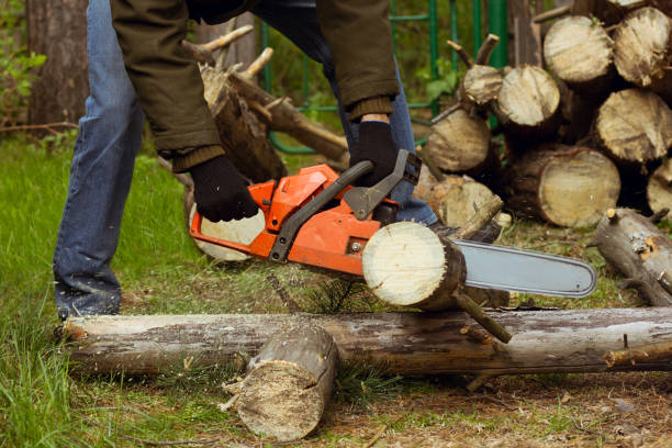 istock Man sawing a log in his back yard. 852446222