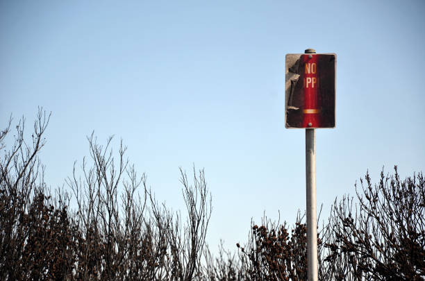 Scorched no stopping road sign after bushfire