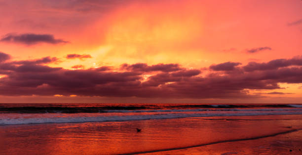 istock Sunset at San Diego Beach 852452150