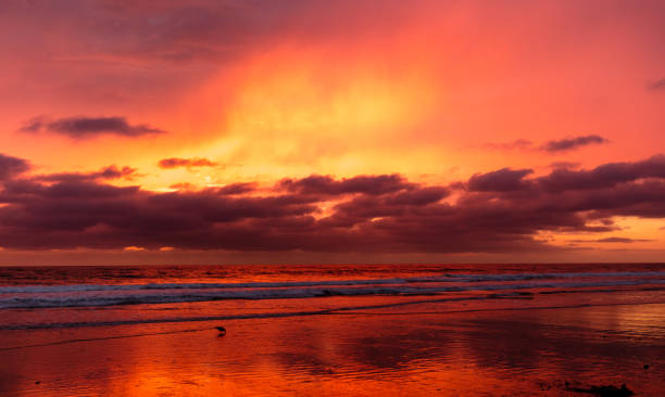 istock Sunset at San Diego Beach 852452262