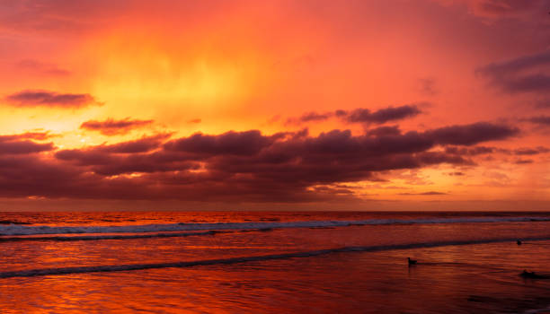 istock Sunset at San Diego Beach 852452542