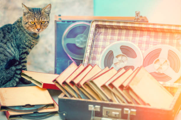 katze sitzt in der nähe einen koffer mit musik rollen - domestic cat audio stock-fotos und bilder