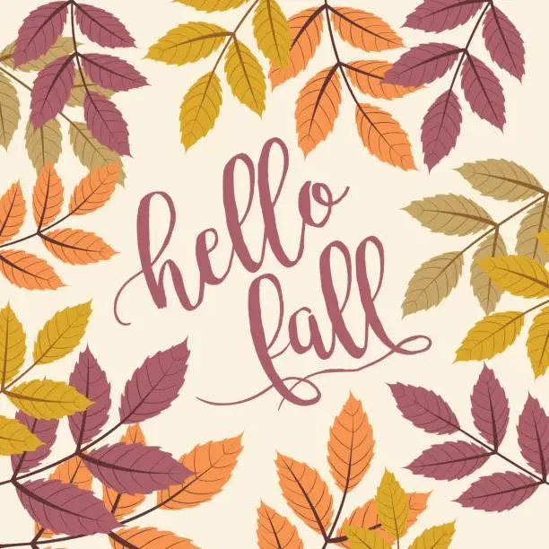 Vector illustration of Fall Background with Autumn Walnut Leaves, hello fall Text