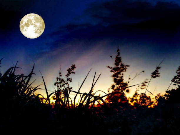 istock super moon heap dark cloud in the night sky 852463806