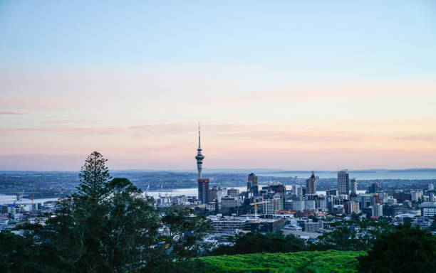 istock Audkland city from top Mount Eden. 852467154