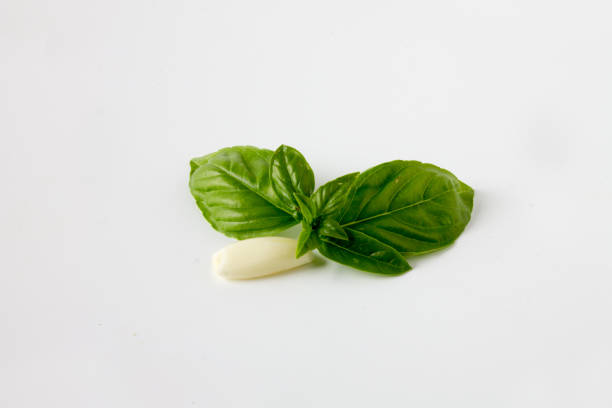 istock Basil leaves with a clove of garlic on a white background 852485624