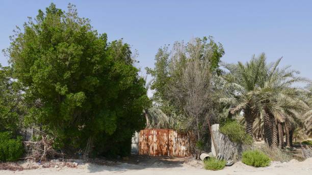 Plantation Gate, Al-Ahsa stock photo