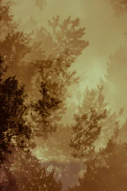 Photo of Abstract background