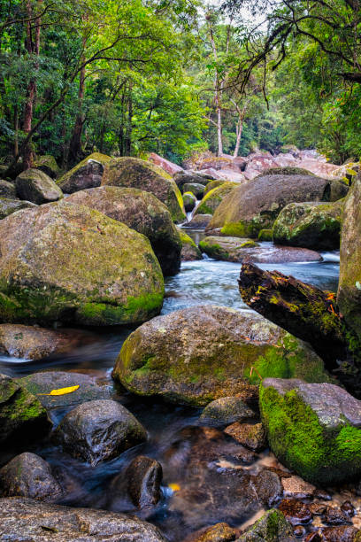 The Mossman River flowing around rocks and boulders in Mossman Gorge, Queensland, Australia.