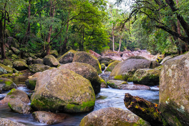 The Mossman River flowing around rocks and boulders in Mossman Gorge, Queensland, Australia.