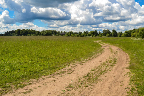 istock Country road through the field. Sky with clouds 852516556