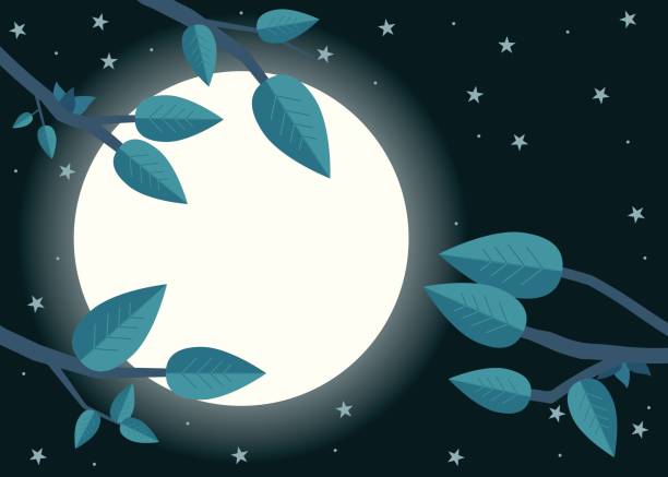 月の夜を漫画します。フラット ベクトル図、木、葉、月。 - spring clear sky night summer点のイラスト素材／クリップアート素材／マンガ素材／アイコン素材