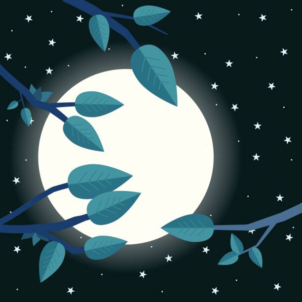 月の夜を漫画します。フラット ベクトル図、木、葉、月。 - spring clear sky night summer点のイラスト素材／クリップアート素材／マンガ素材／アイコン素材