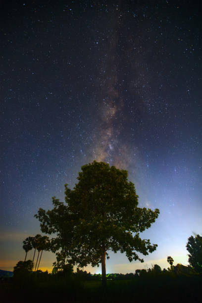 istock Milky way galaxy with stars over tree, Long exposure photograph, with grain. 852524390